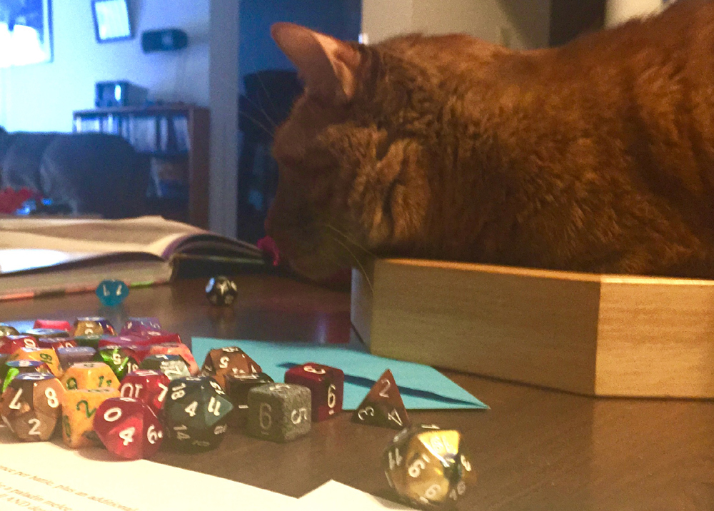 Evinrude considers the dice. © Kaylee Jung. Photo used with permission.